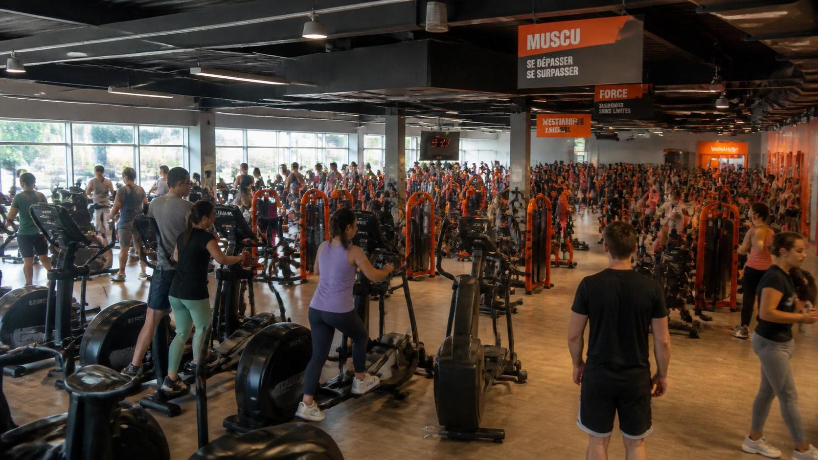 Basic Fit : Guide Essentiel sur Abonnement, Tarifs et Résiliation